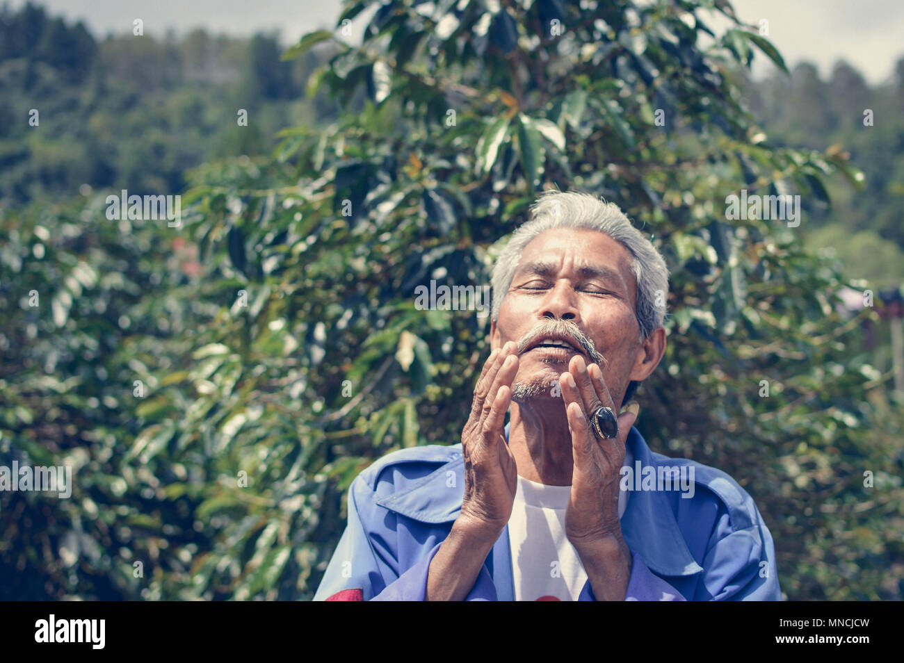 Sumatra, Indonesia - January 13, 2018: Elderly Batak farmer is seen next to his coffee plantation in Samosir Island, Lake Toba, Sumatra, Indonesia. Stock Photo