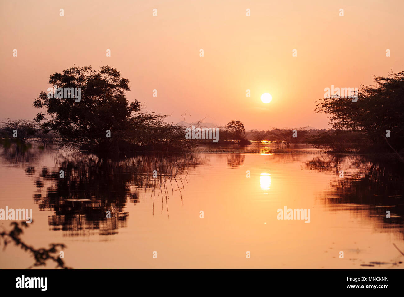 Indian Savanna sunset with bushes and the lake Stock Photo