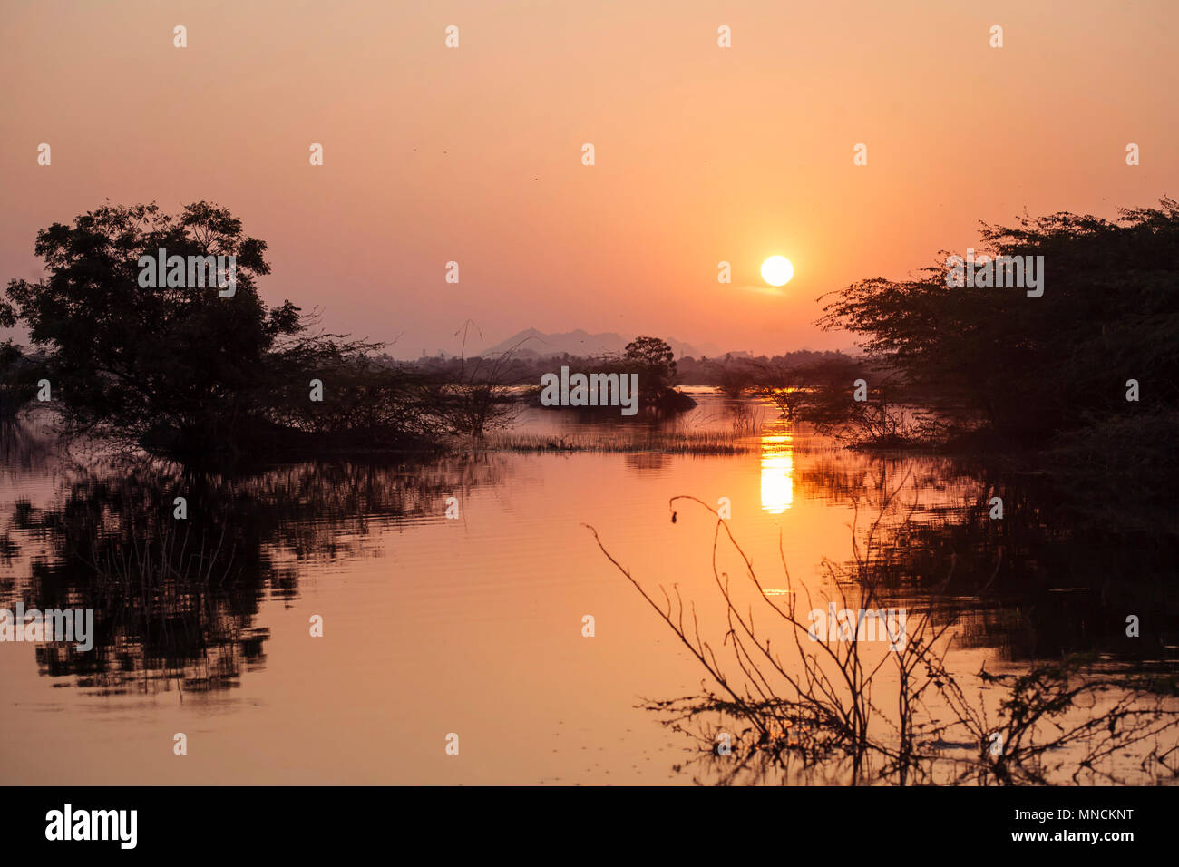 Indian Savanna sunset with bushes and lake Stock Photo