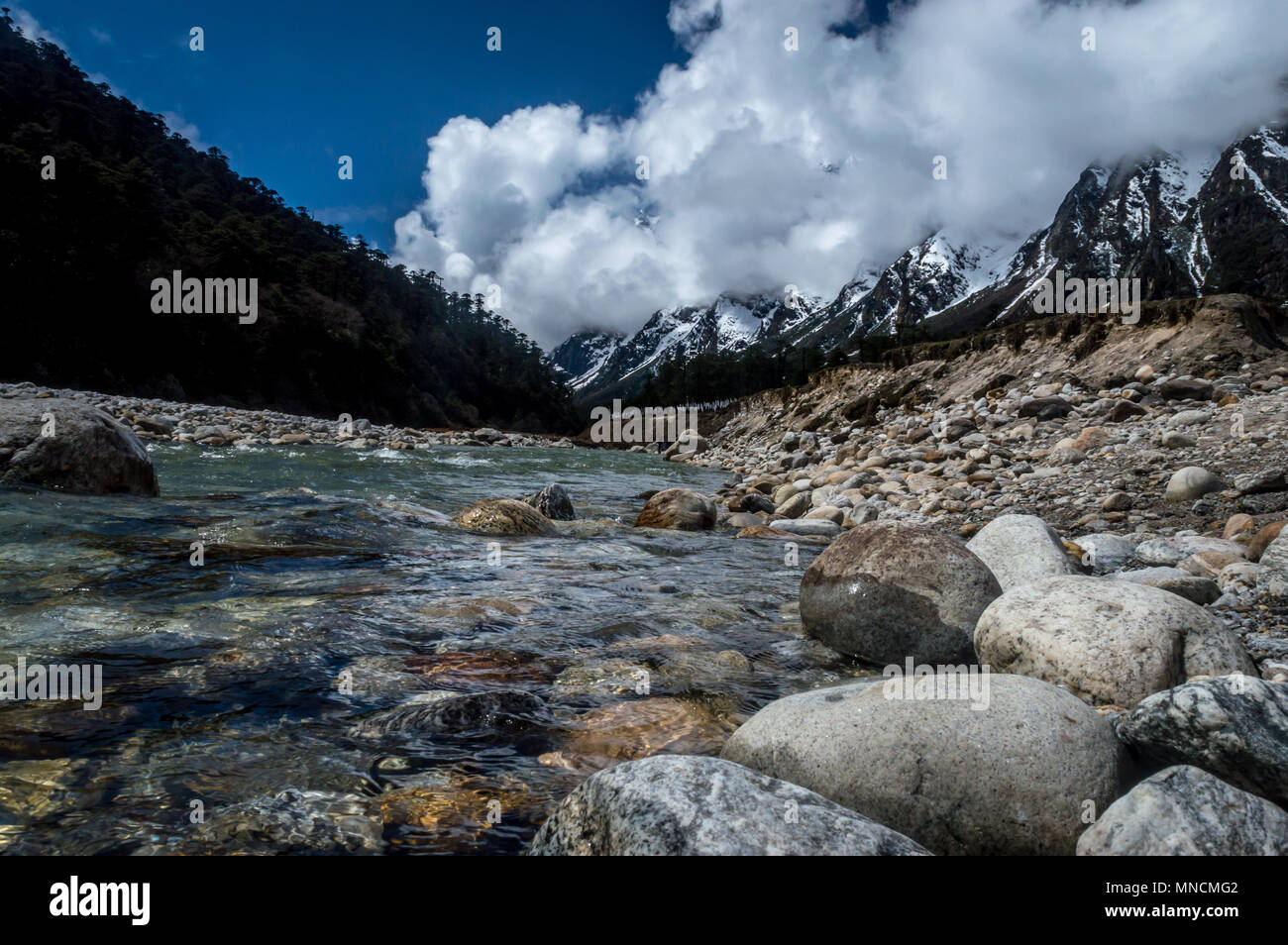 Yumthang valley, a popular tourist attraction and nature camp area on the eastern Himalayas, Sikkim, India Stock Photo