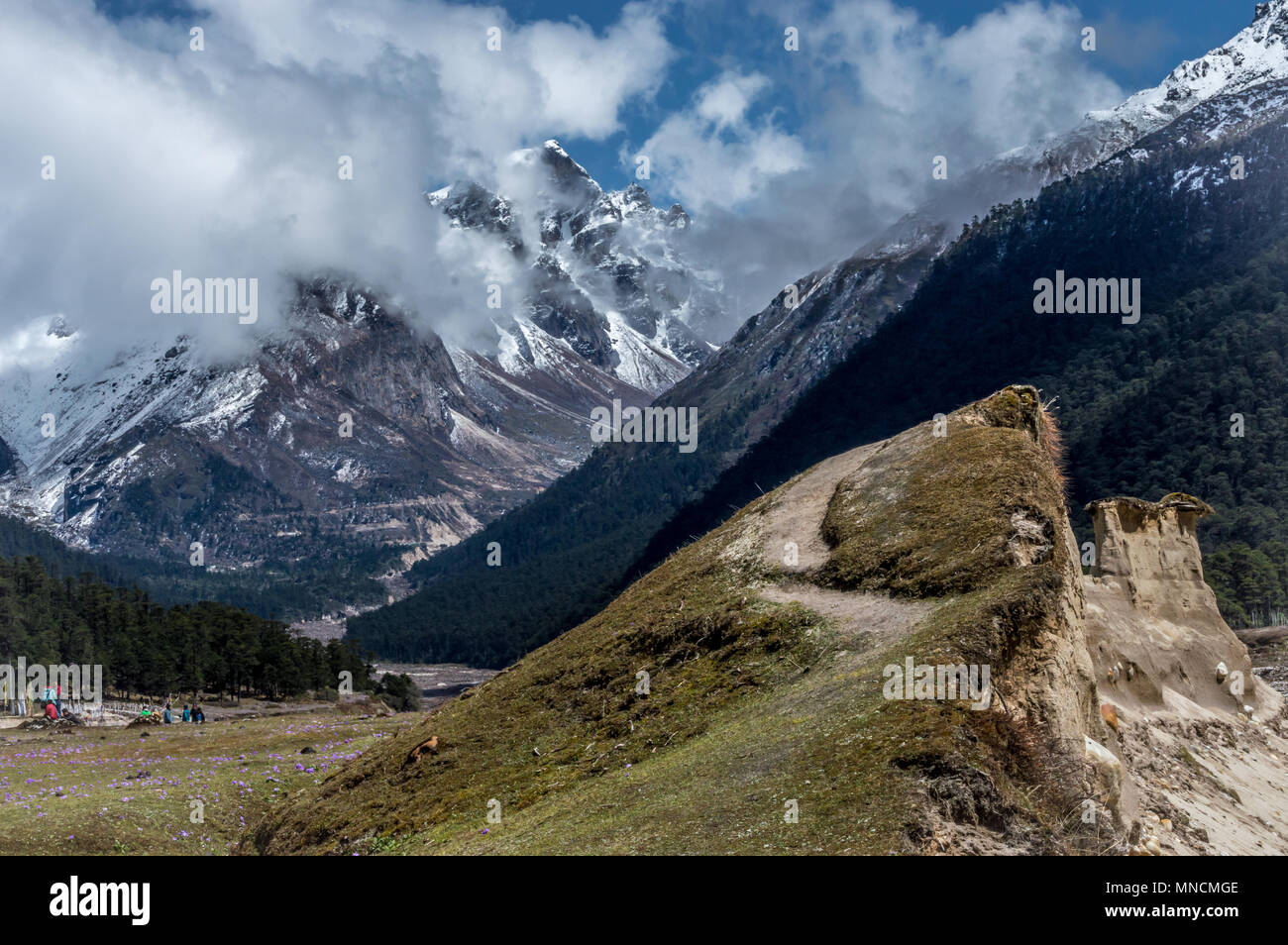 Yumthang valley, a popular tourist attraction and nature camp area on the eastern Himalayas, Sikkim, India Stock Photo