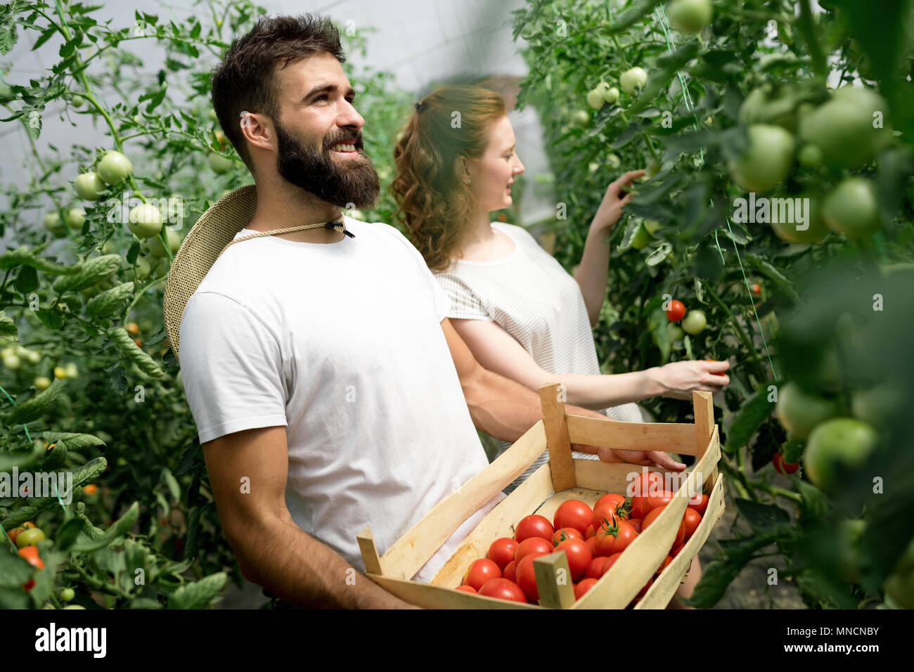 Young couple farming vegetables Stock Photo - Alamy