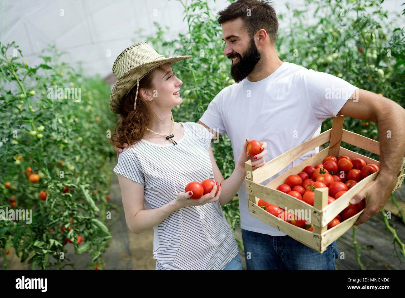Young couple farming vegetables Stock Photo - Alamy