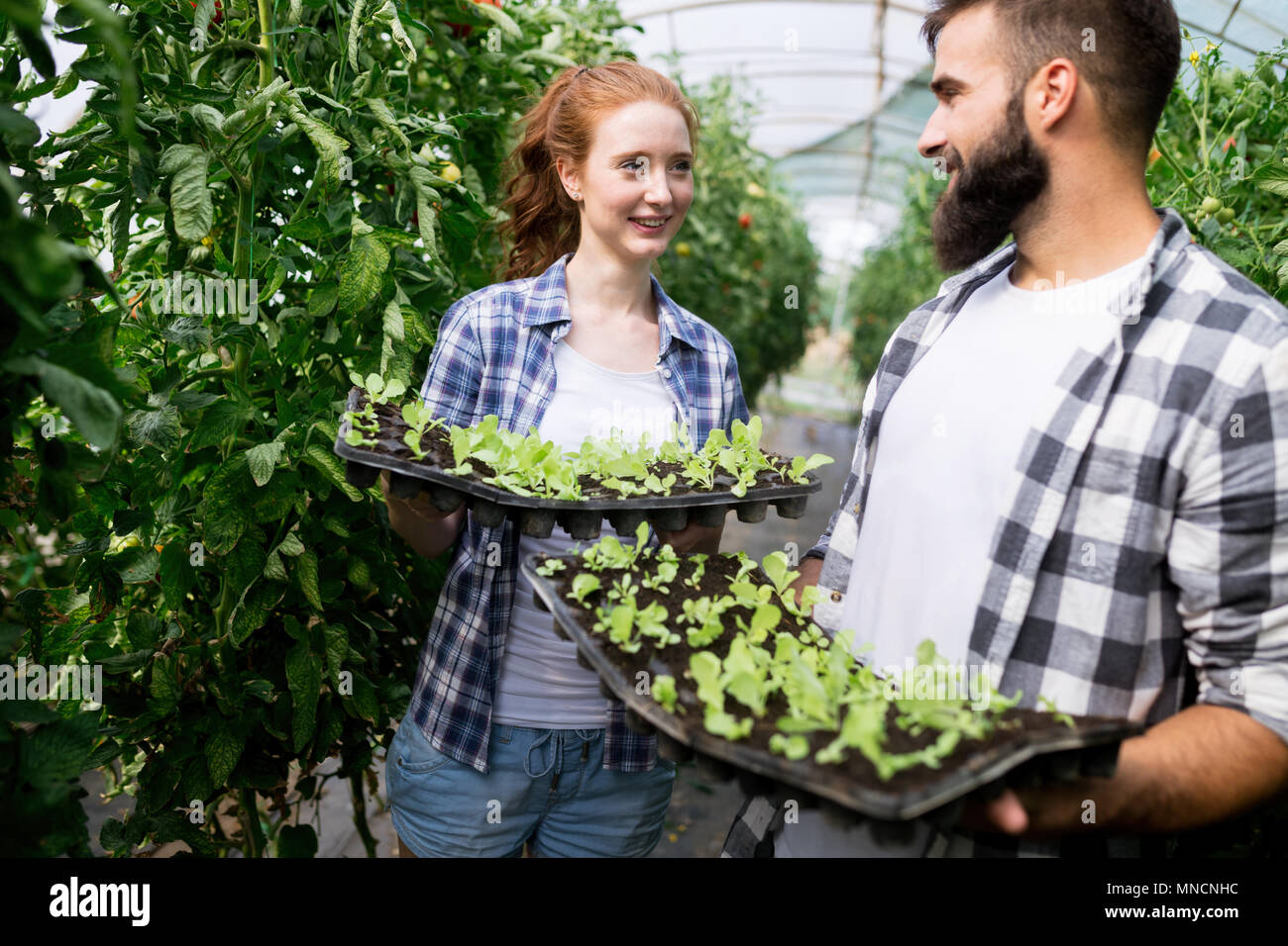 Two attractive young women working in greenhouse and planting seeds ...