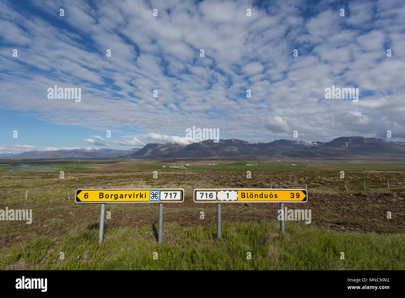 Two signposts along the road near Borggarvirki, wide landscape with cloud formation, Vatnsnes Peninsula, North Iceland, Iceland Stock Photo