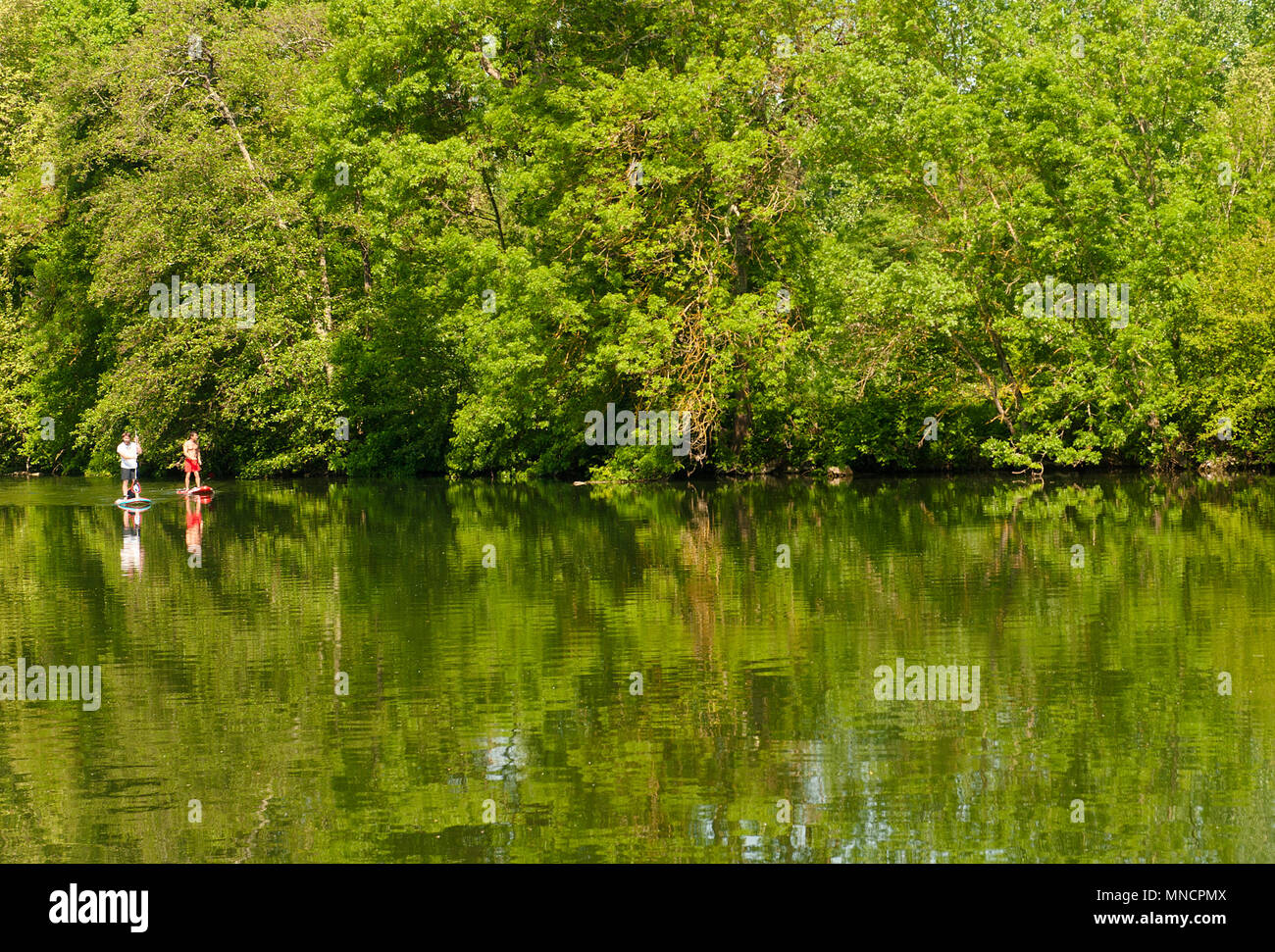Two men enjoying SUP on the Charente river near Jarnac, France Stock Photo