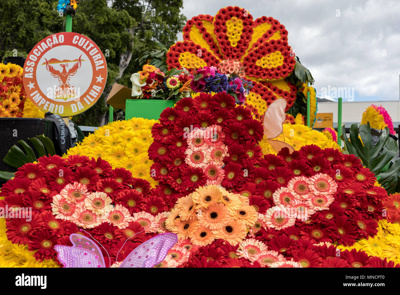Funchal-The-Flourishing-Heart-of-Madeira