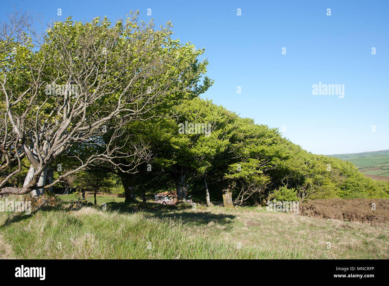 Combe Martin Exmoor Devon England UK Europe Stock Photo - Alamy