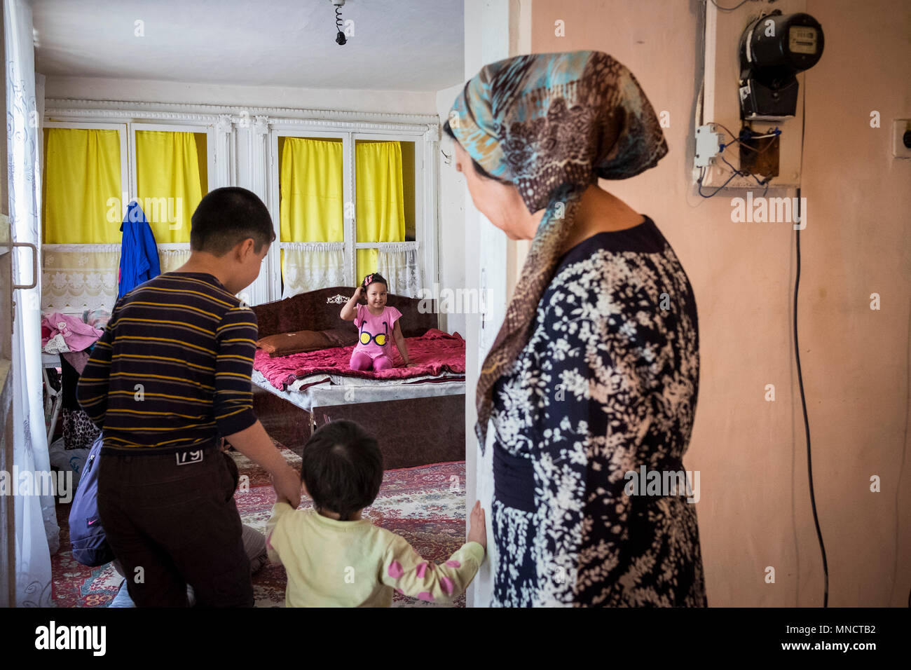 Ұялы телефондарға арналған киска