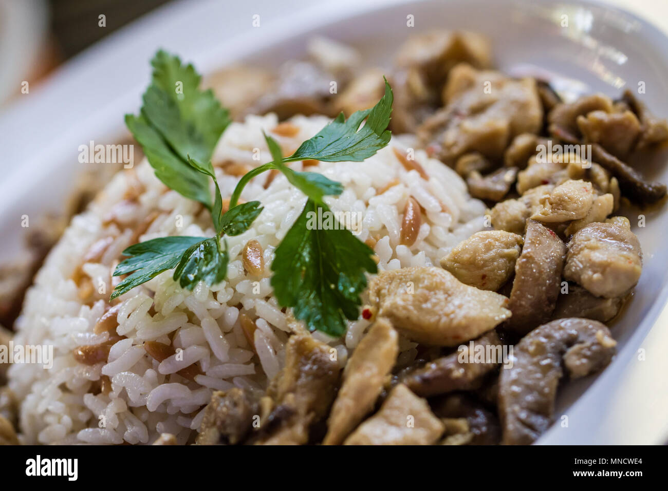 Traditional Turkish Food Rice With Meat in a Porcelain Plate Stock ...