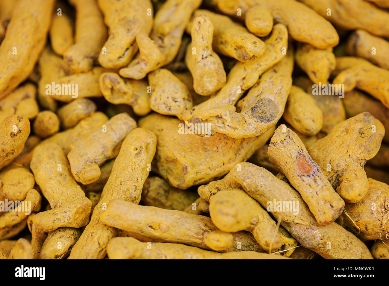 Hard Turmeric Roots Raw Turmeric roots background Stock Photo - Alamy