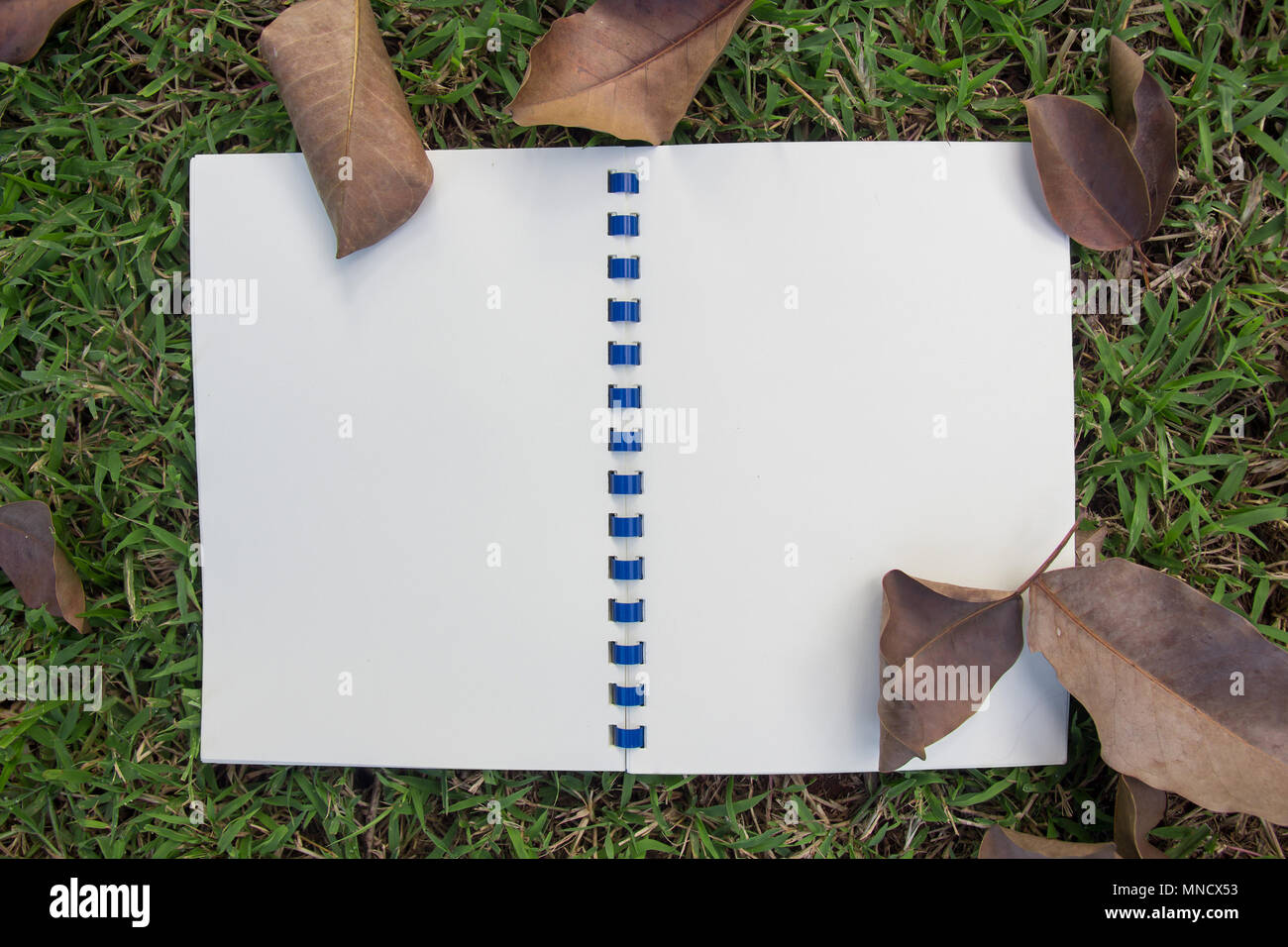white notebook open on green grass background and texture Stock Photo