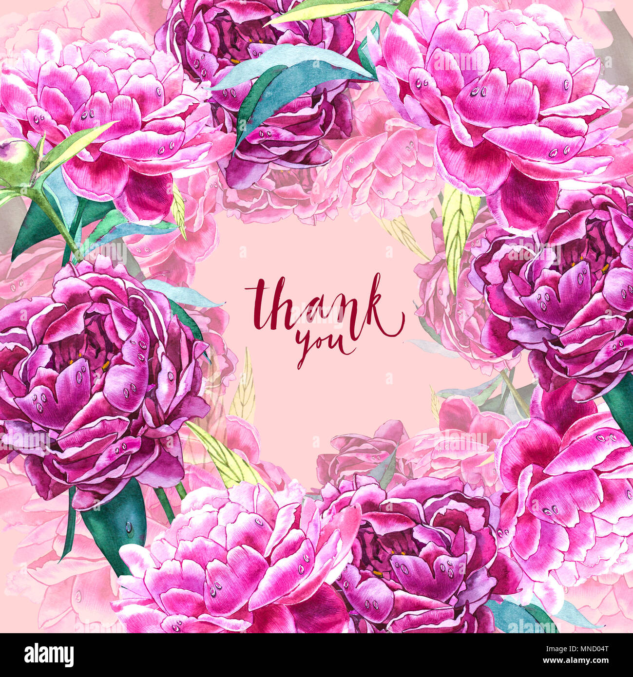 Natural pink peony background. Frame of red and pink peony, watercolor