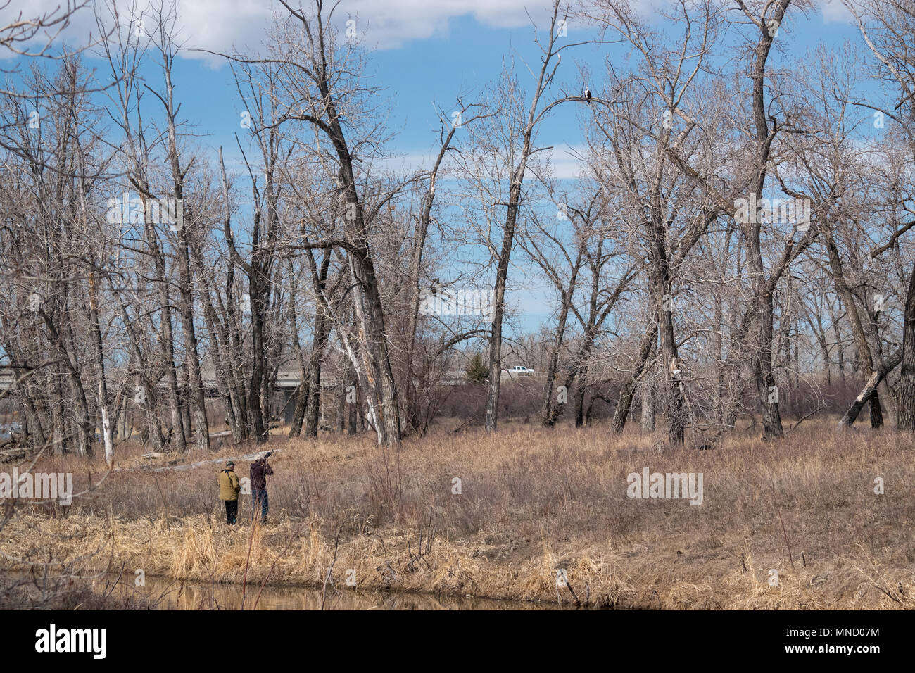 Fish creek provincial park hires stock photography and images Alamy