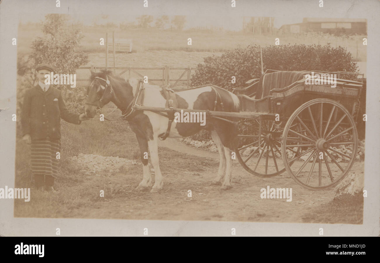 Vintage Photograph of a Horse and Cart Delivery Service For Trowbridge Family Butchers, Porton, Wiltshire, England, UK Stock Photo