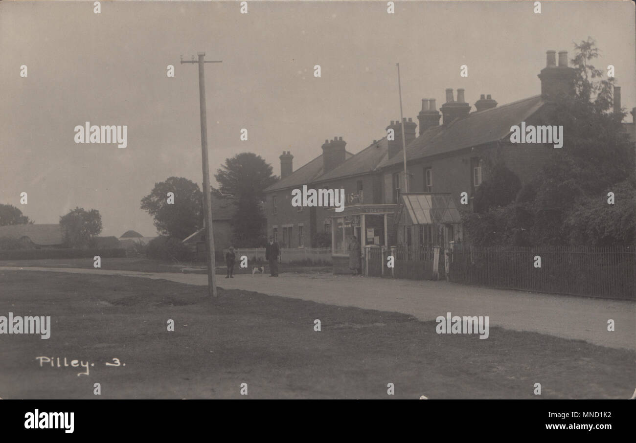 Vintage Photograph of Pilley, Hampshire, UK Stock Photo
