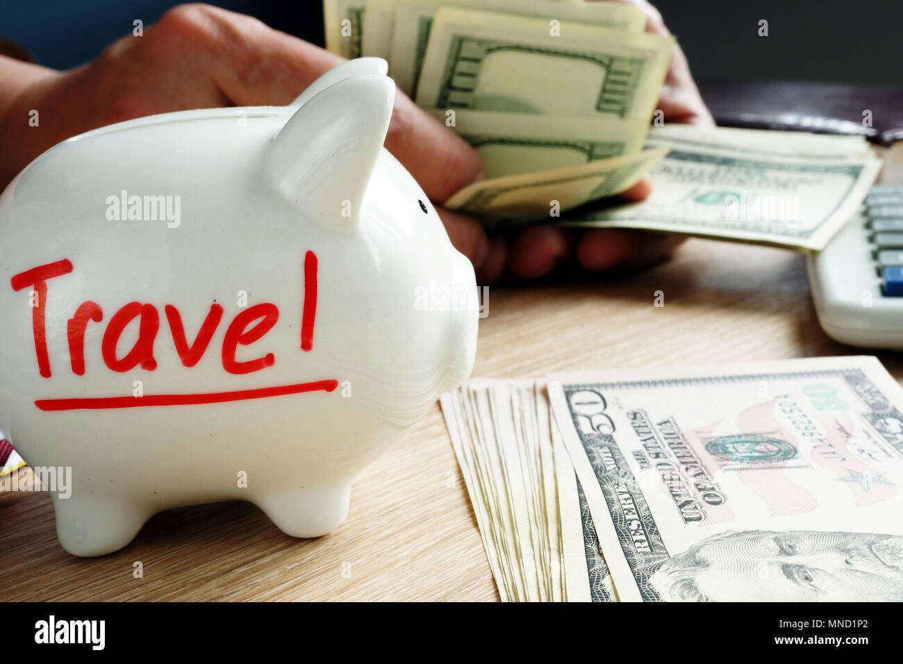 Savings for travel. Money for vacation and holidays and piggy bank. Stock Photo