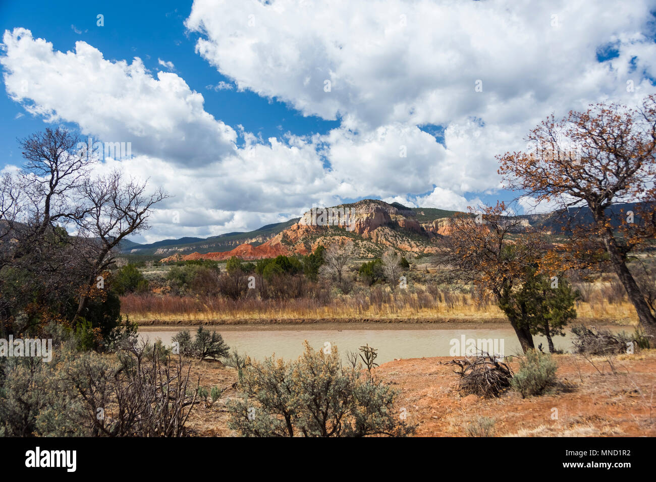 New Mexico Landscape Stock Photo