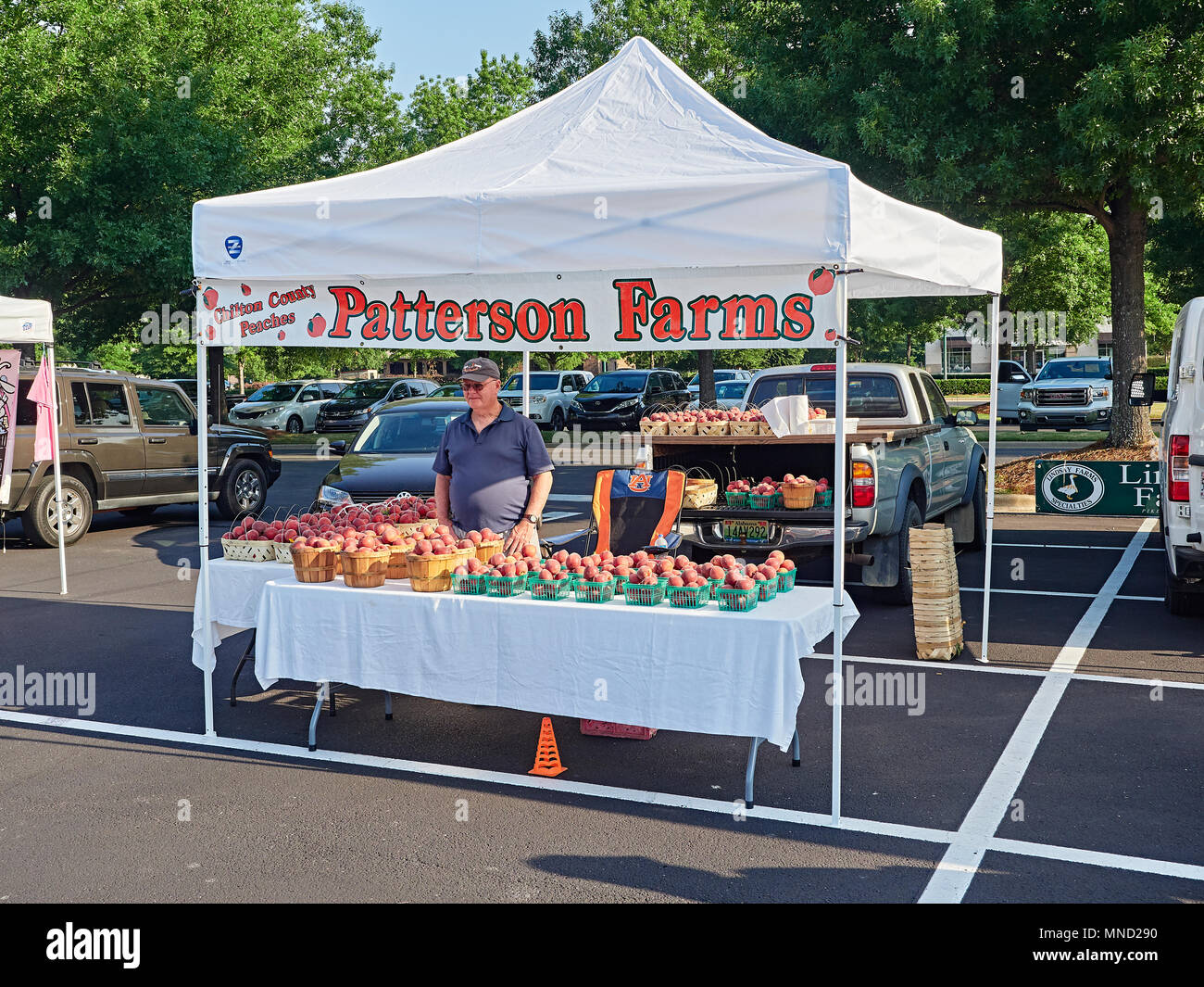 Peach farmer selling fresh peaches as a vendor at a local farmer's