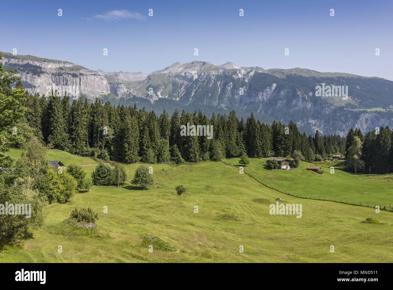 The plains of switzerland hi-res stock photography and images - Alamy