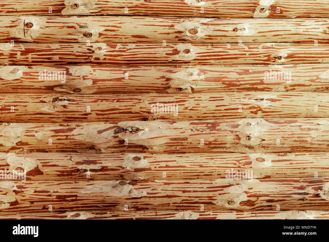 Wall Of A Log House Fresh Otosanye Logs Log Cabin Stock Photo