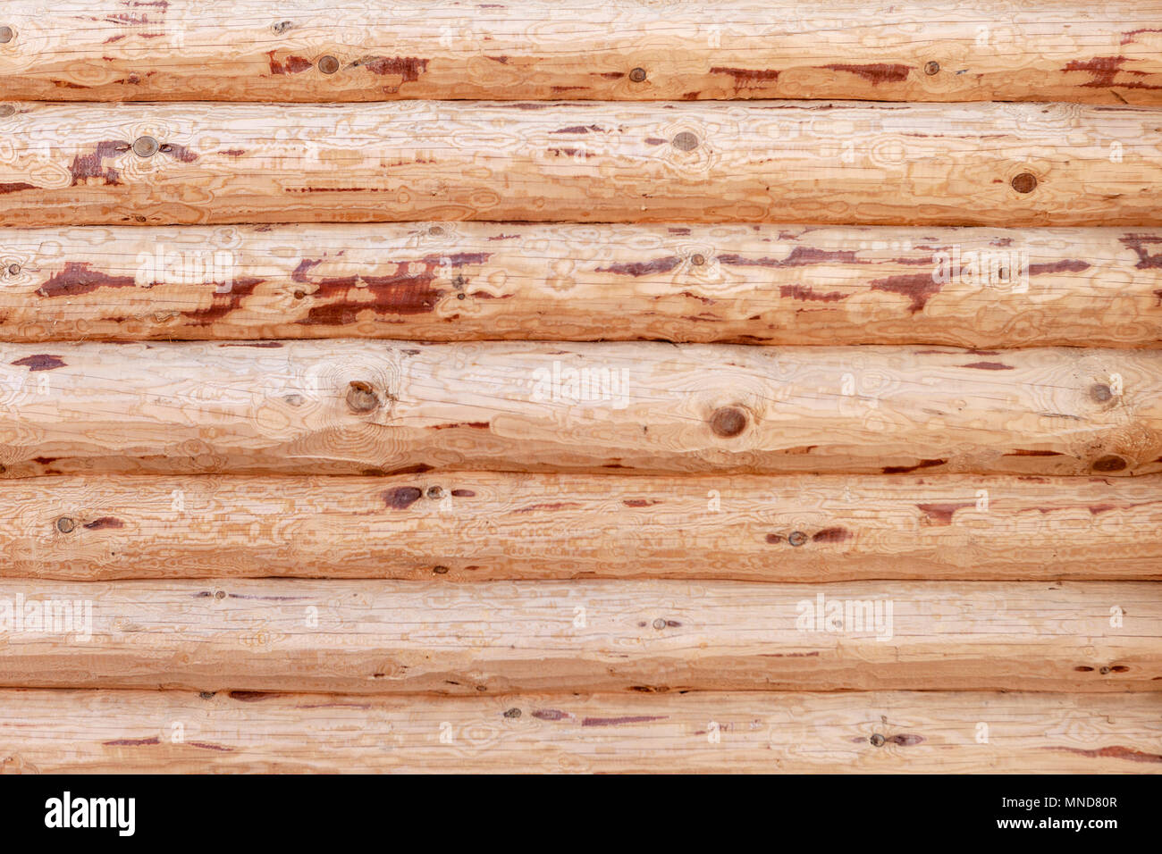 Wall Of A Log House Fresh Otosanye Logs Log Cabin Stock Photo