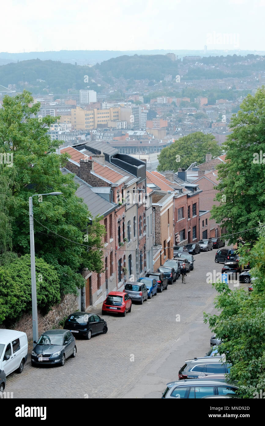 The city of Liege, Belgium, seen from above, just next to famous staircase Montagne de Bueren Stock Photo