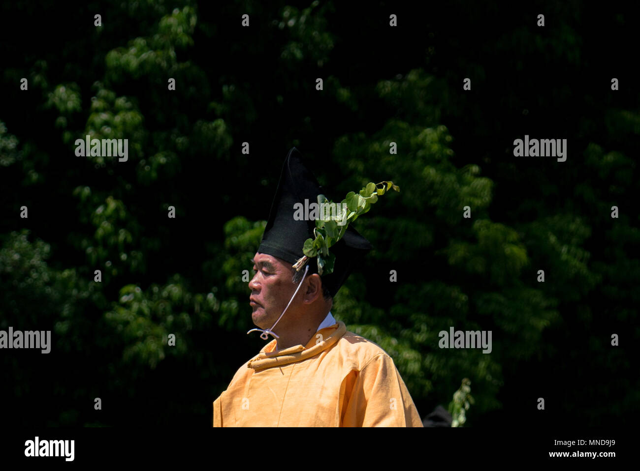 Aoi Matsuri 葵祭,  Kyoto’s annual festival on May 15 attracts crowds as 500 people in colorful Heian costumes parade from Imperial palace to Kamo shrine. Stock Photo