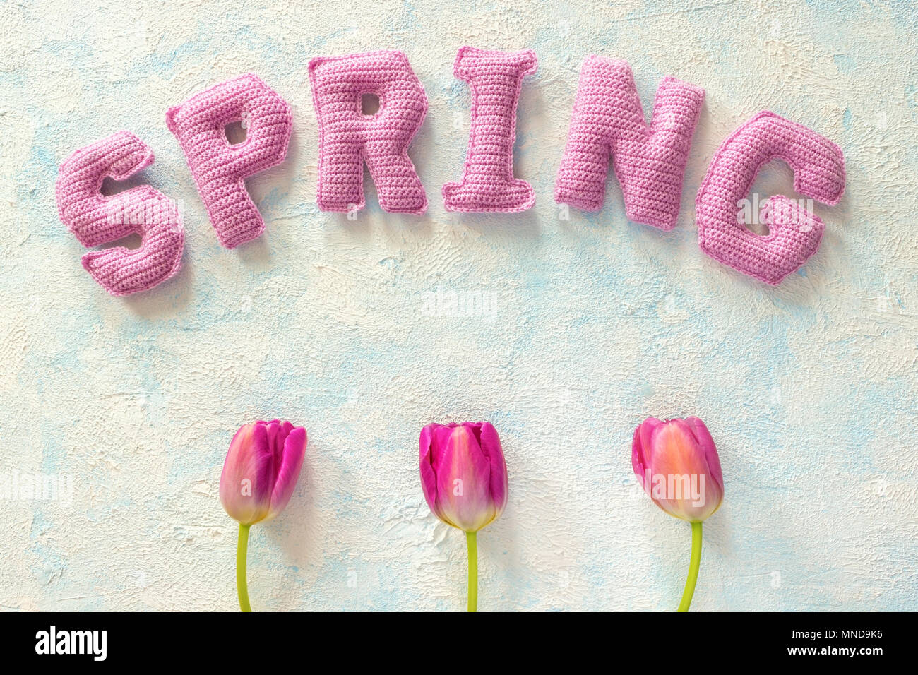 tulip floweres and spring word from knitted letters Stock Photo - Alamy