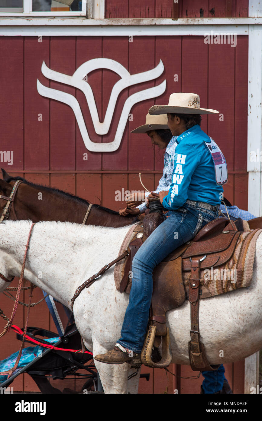 Rodeo at parker ranch hires stock photography and images Alamy