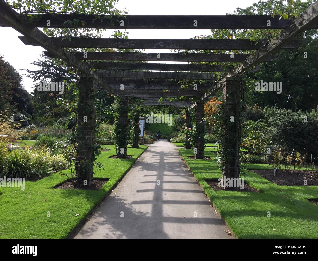 Rose Garden Pergola inside Kew Gardens, Richmond, London Stock Photo