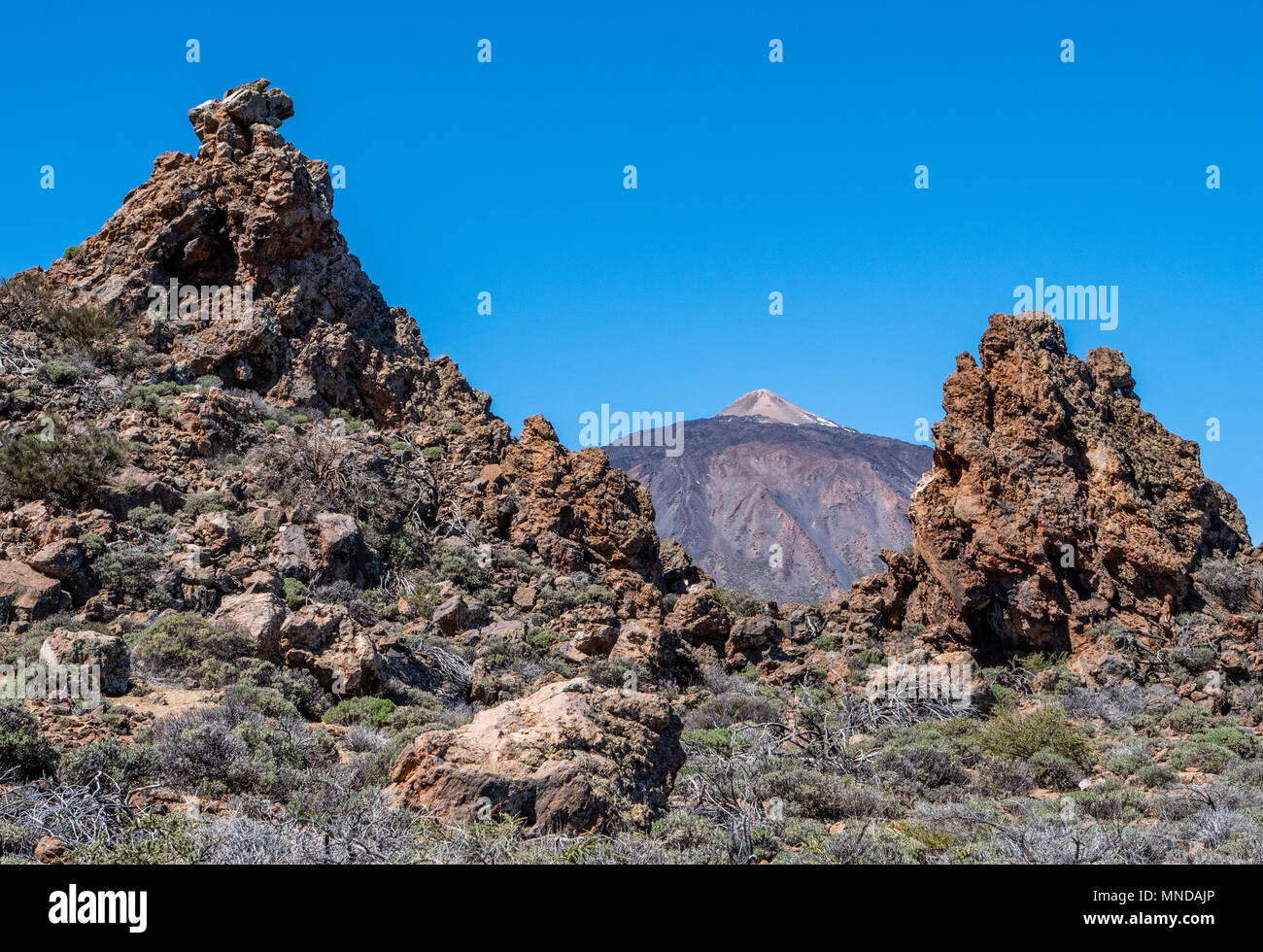 north face tenerife north face tenerife