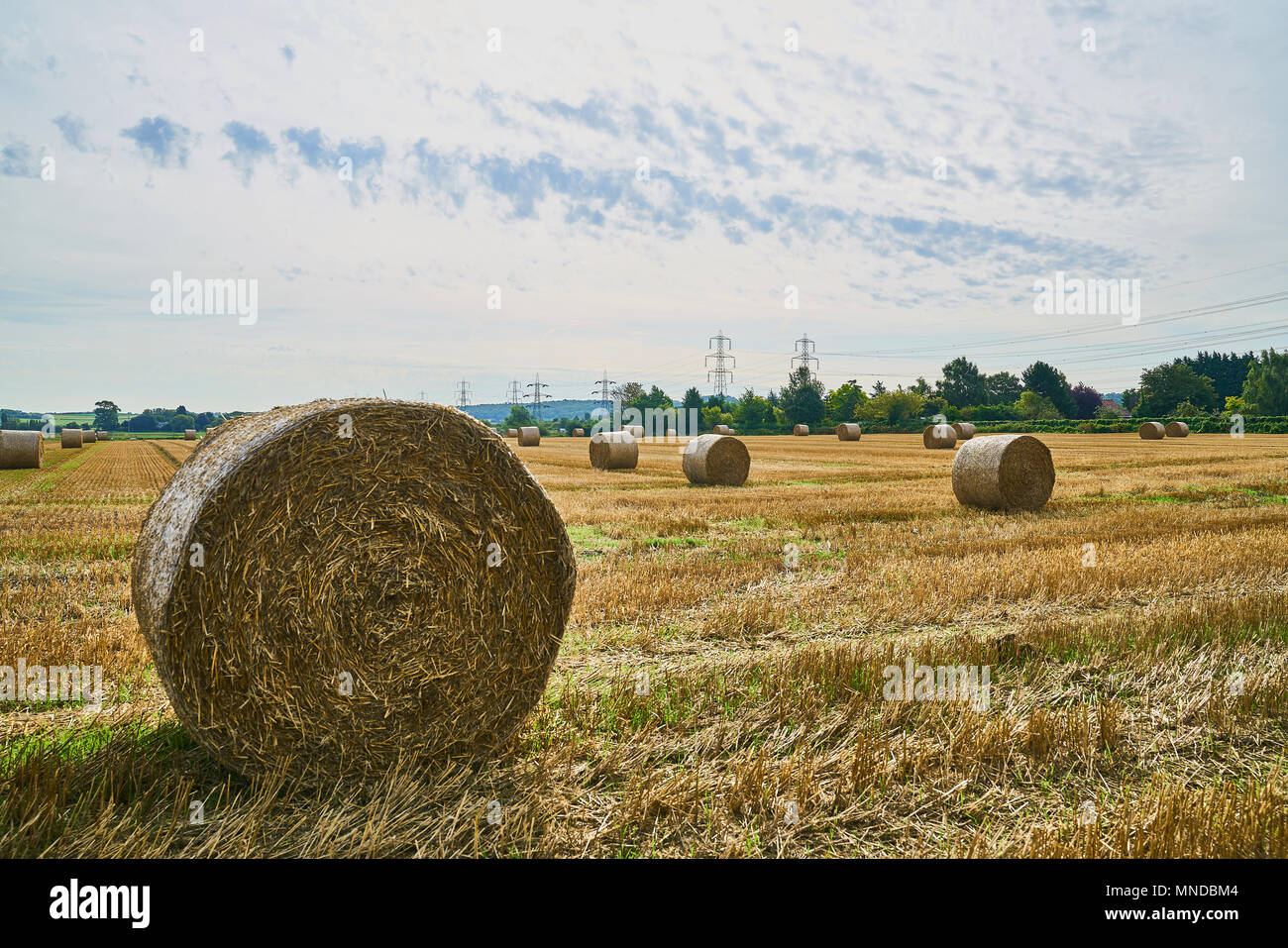 harvest time Stock Photo