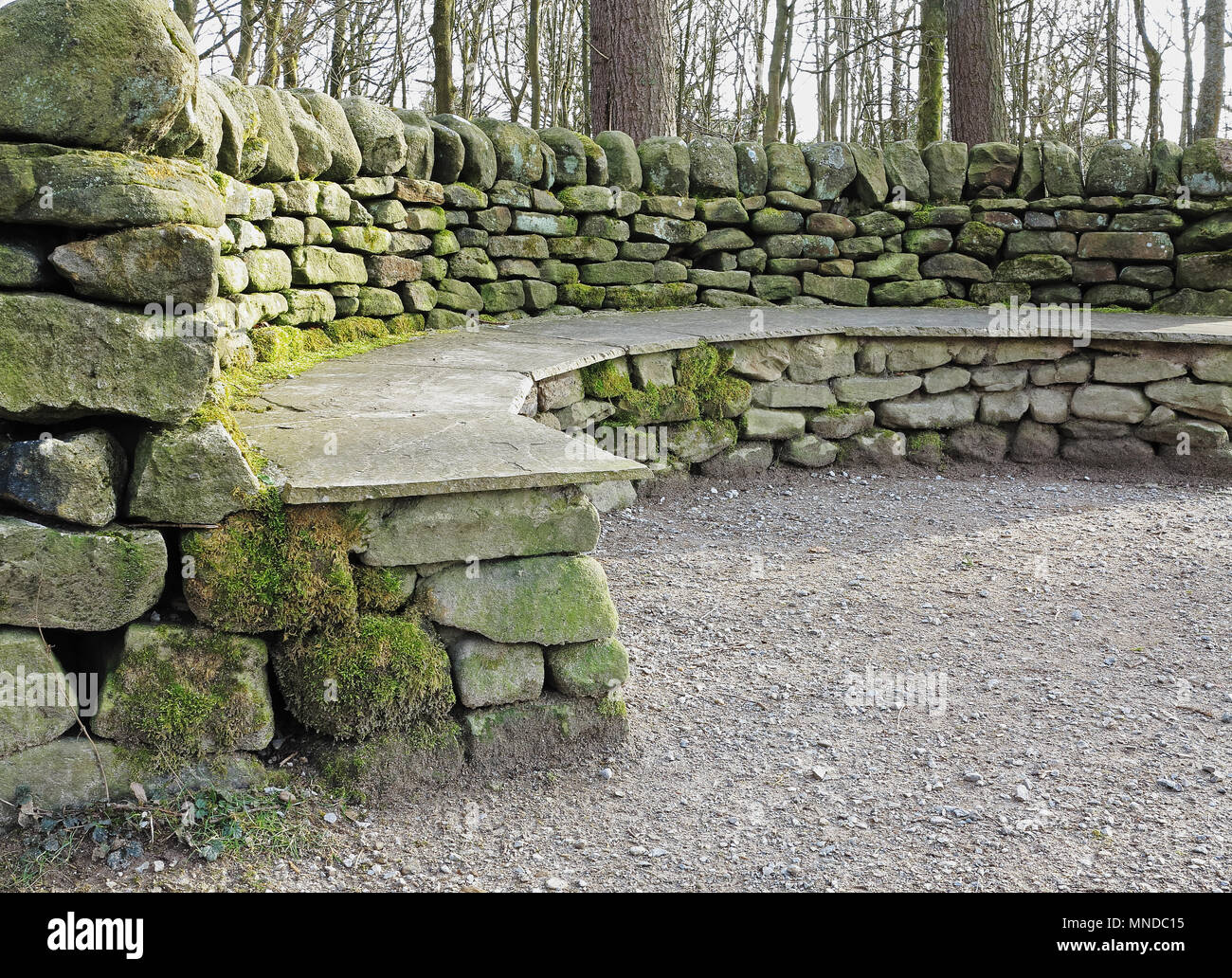 A curved stone bench in Strid Woods, Bolton Abbey, Yorkshire Dales Stock Photo