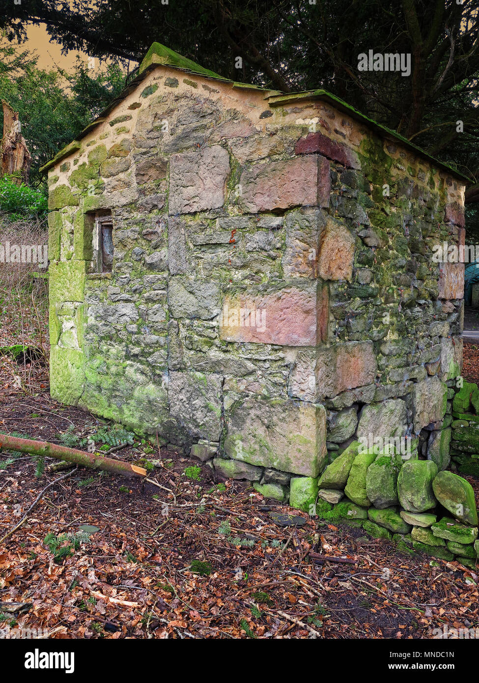 A small stone hut, or bothy, in Strid Woods, Bolton Abbey, Yorkshire Dales Stock Photo
