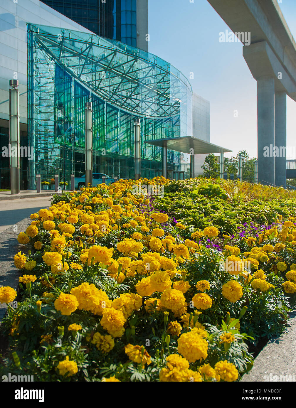 Landscaping flowers of modern Detroit buildings Stock Photo Alamy