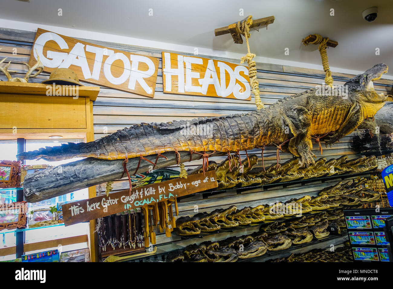 Old St. Augustine History Museum in historic St. Augustine Florida