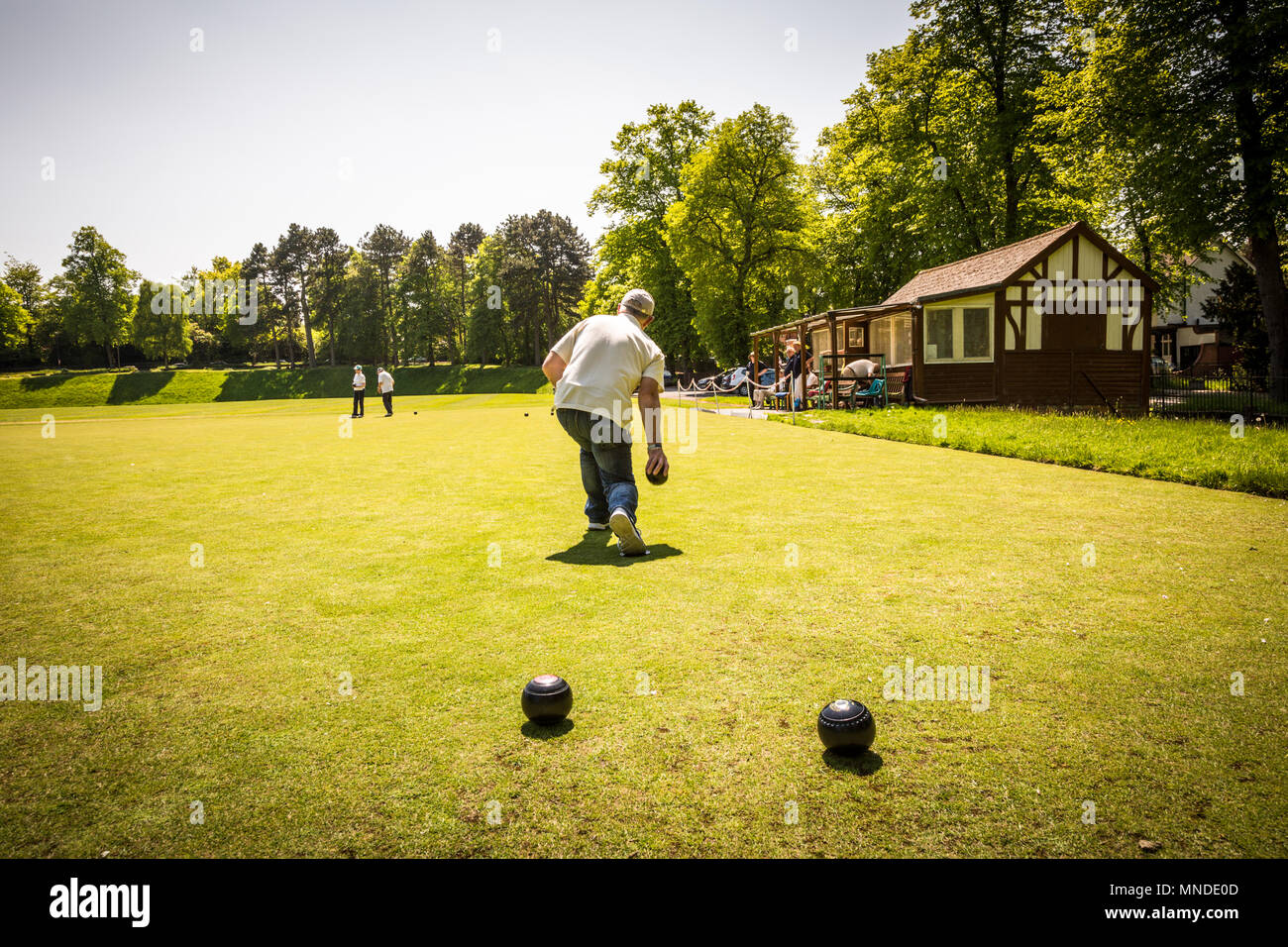 Elderly man playing bowls outside on green, UK Stock Photo