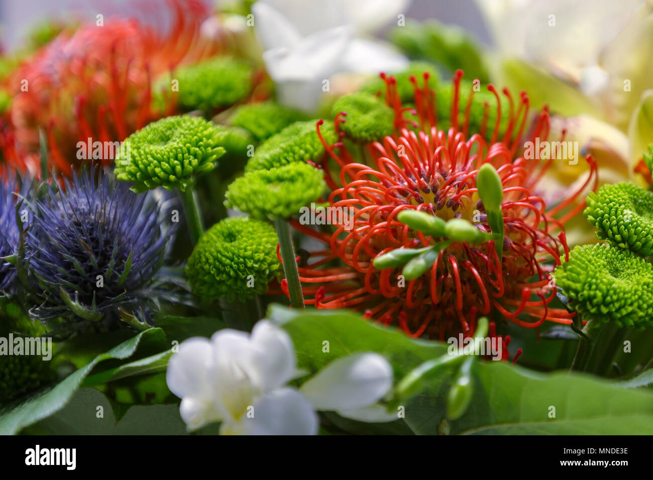 Bouquet colourful exotic flowers hi-res stock photography and images ...