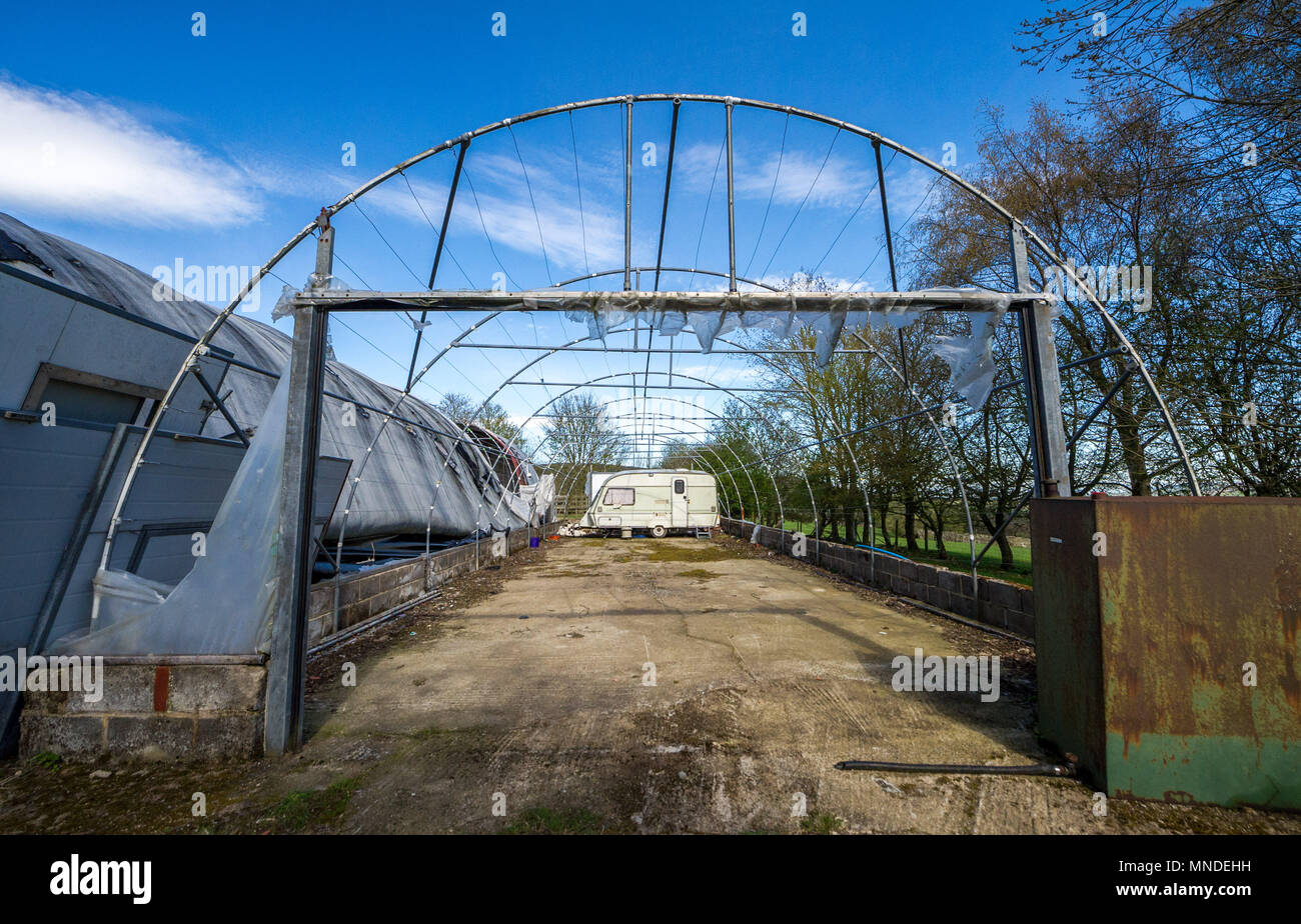 Disused poly tunnel with caravan. Stock Photo