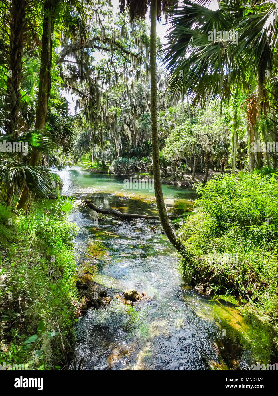 Gemini Springs Park n DeBary Florida Volusia County Central Florida