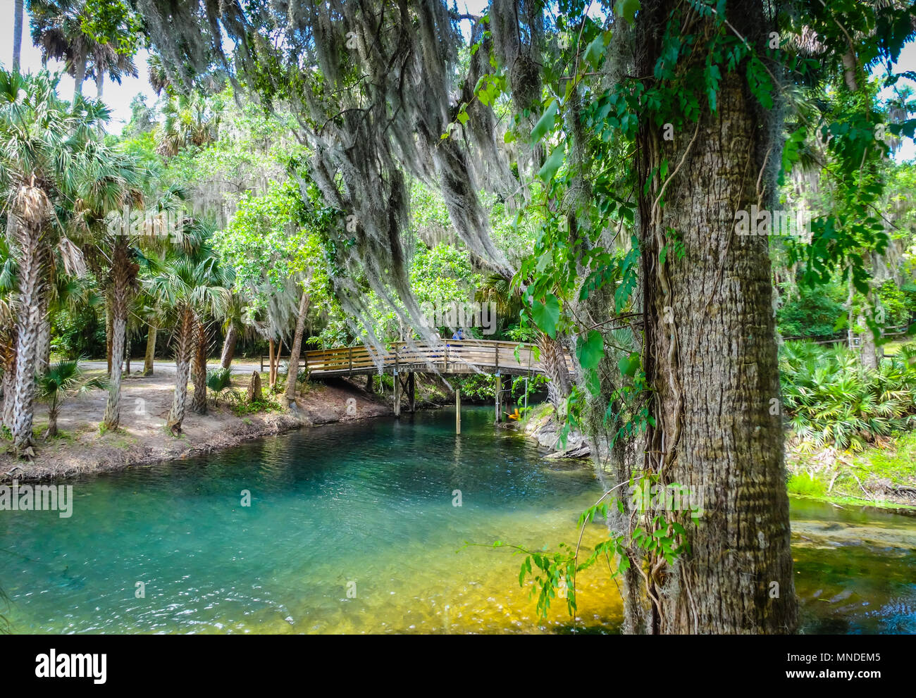 Gemini Springs Park n DeBary Florida Volusia County Central Florida