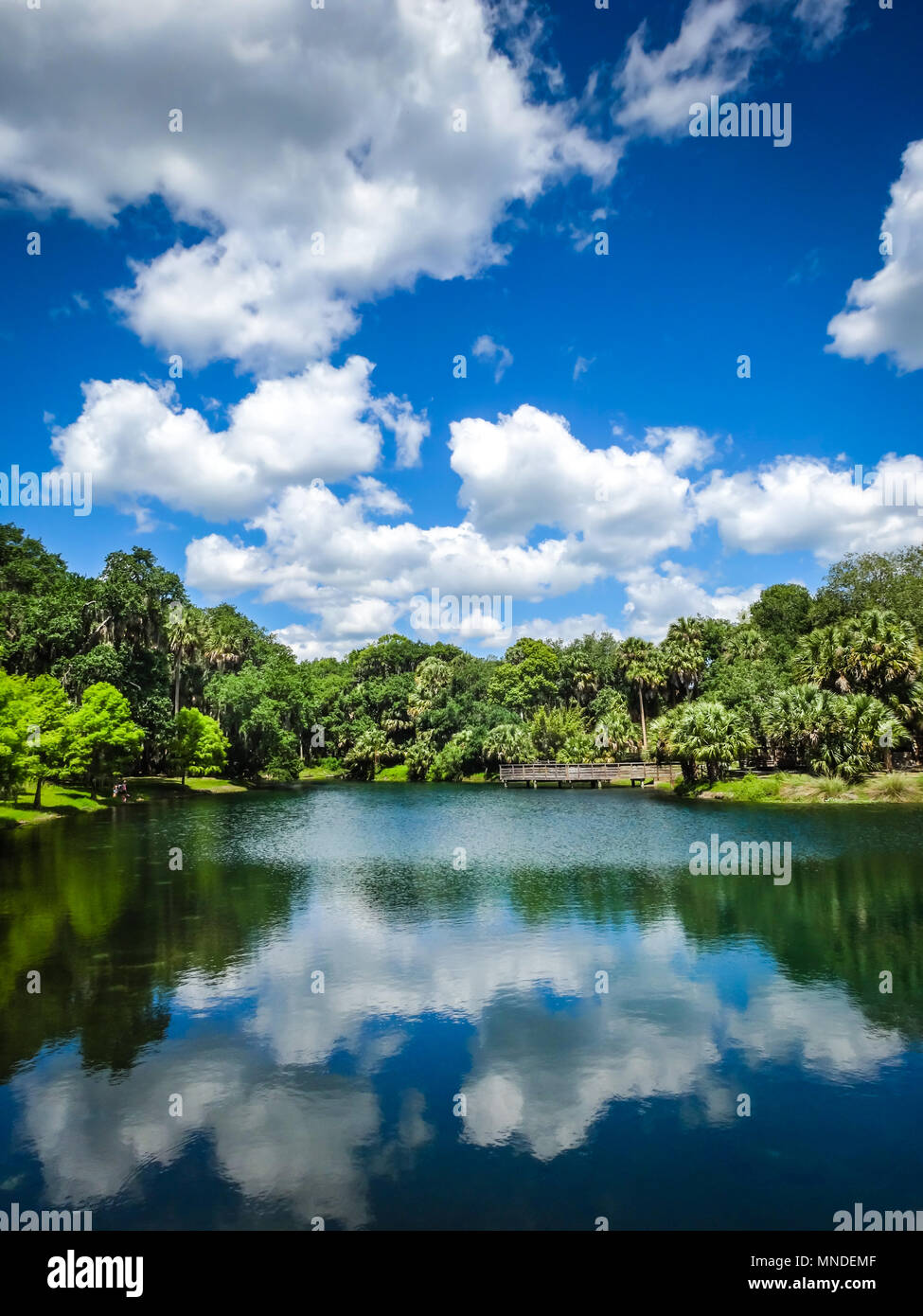 Gemini Springs Park n DeBary Florida Volusia County Central Florida