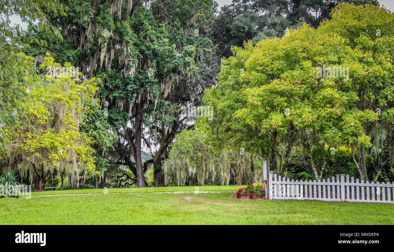 Kanapaha Botanical Gardens In Gainesville Florida Stock Photo