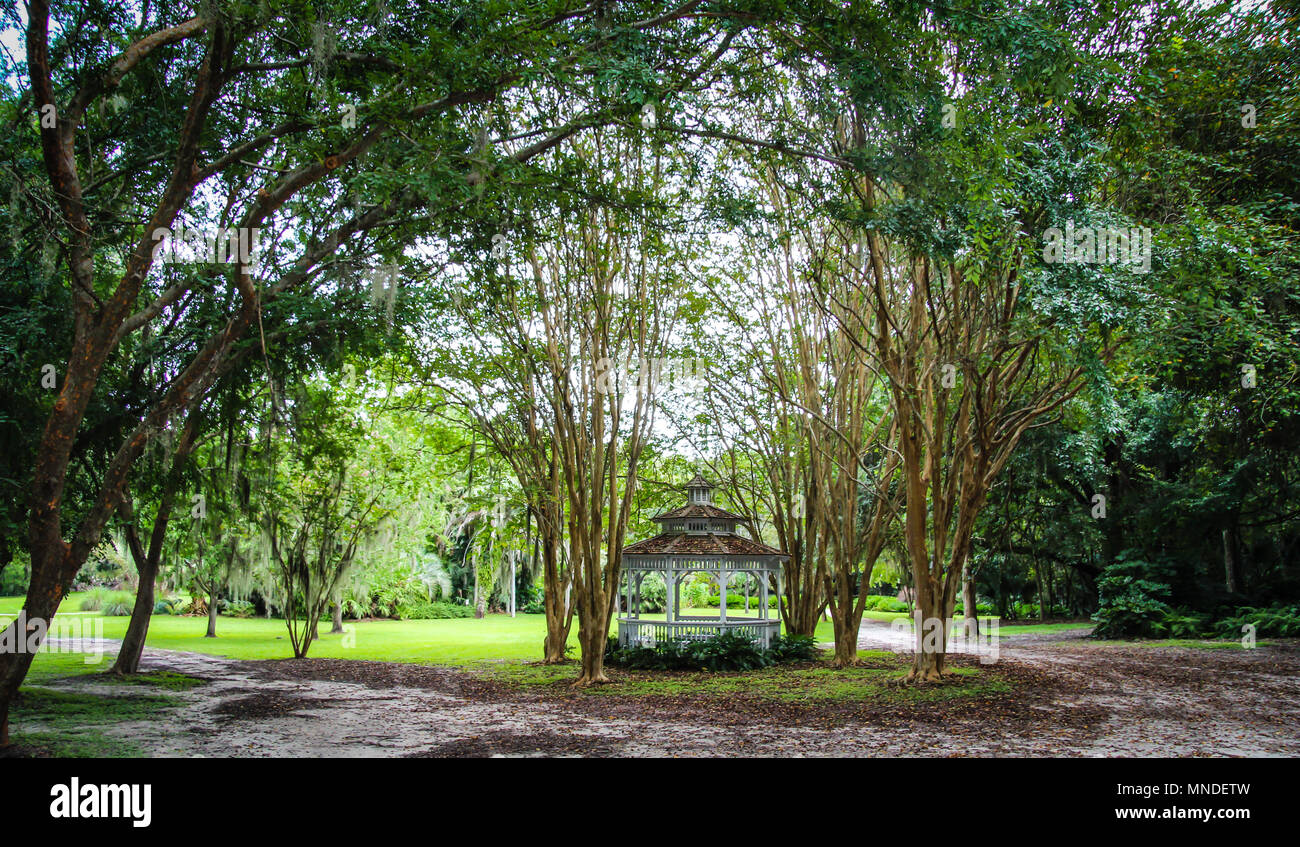 Gainesville florida kanapaha botanical gardens hires stock photography