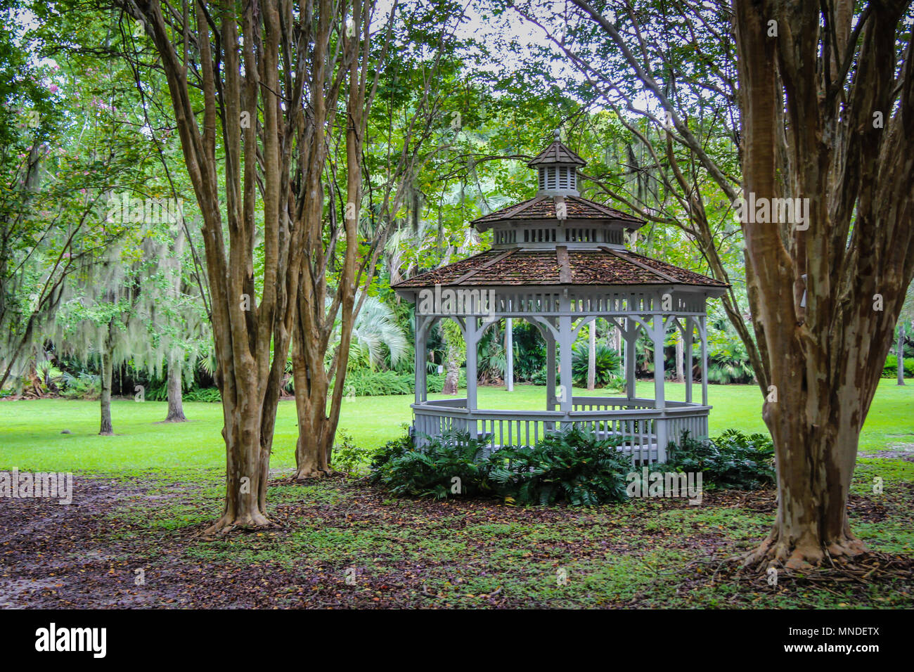 Kanapaha Botanical Gardens in Gainesville Florida Stock Photo Alamy