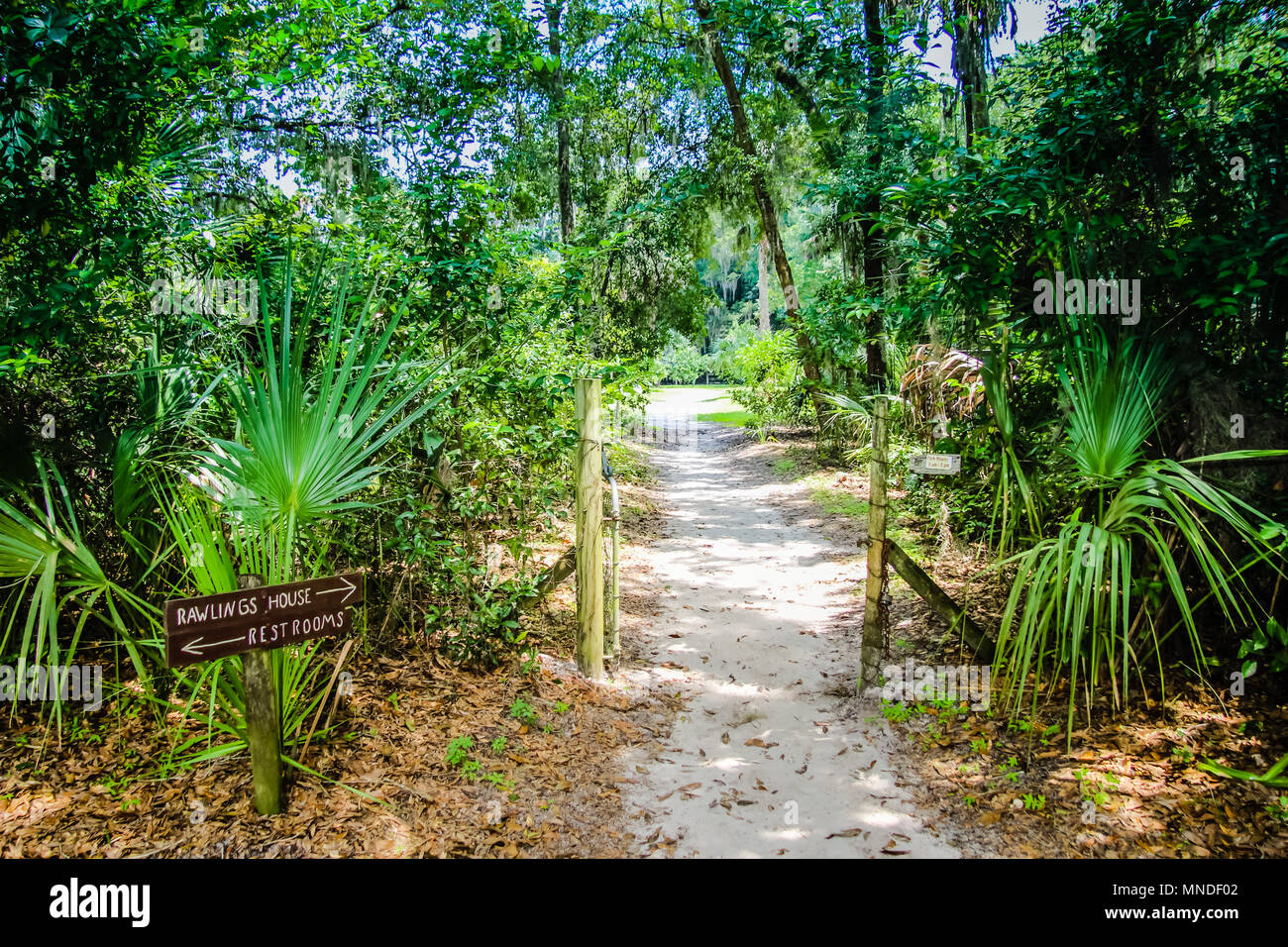 Marjorie Kinnan Rawlings Historic State Park in Hawthorne Florida Stock Photo