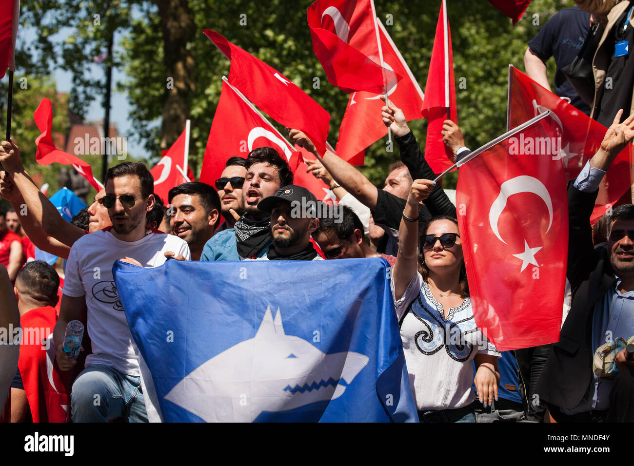 Turkish wolf hires stock photography and images Alamy