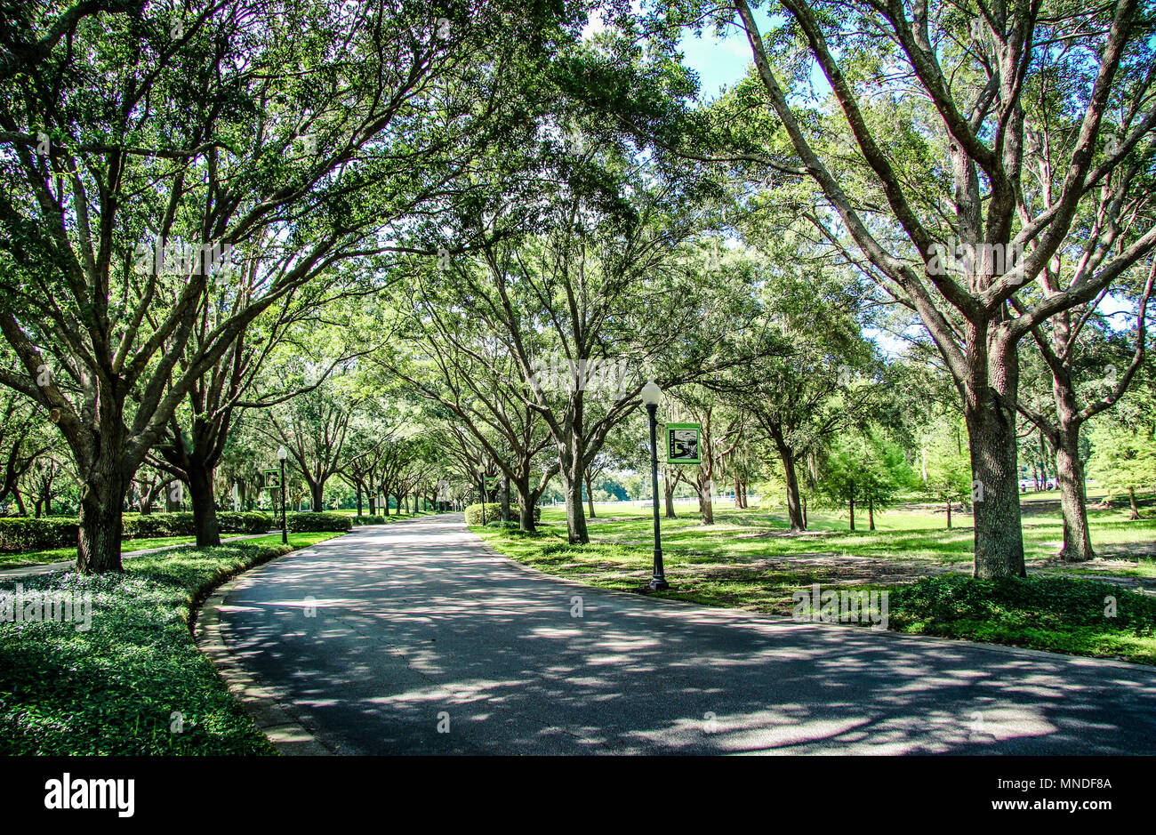 Cypress grove park florida hires stock photography and images Alamy