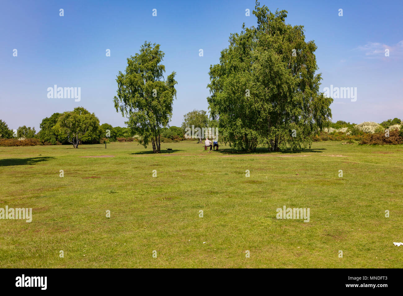 Two dog walkers talking hires stock photography and images Alamy